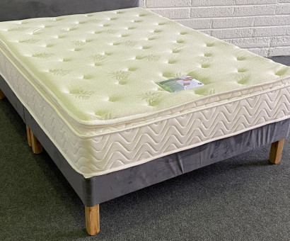 tn Aloe Vera Pillow